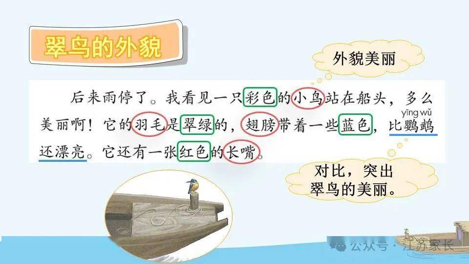 【微课堂】统编版语文三（上）课文 第15课《搭船的鸟》