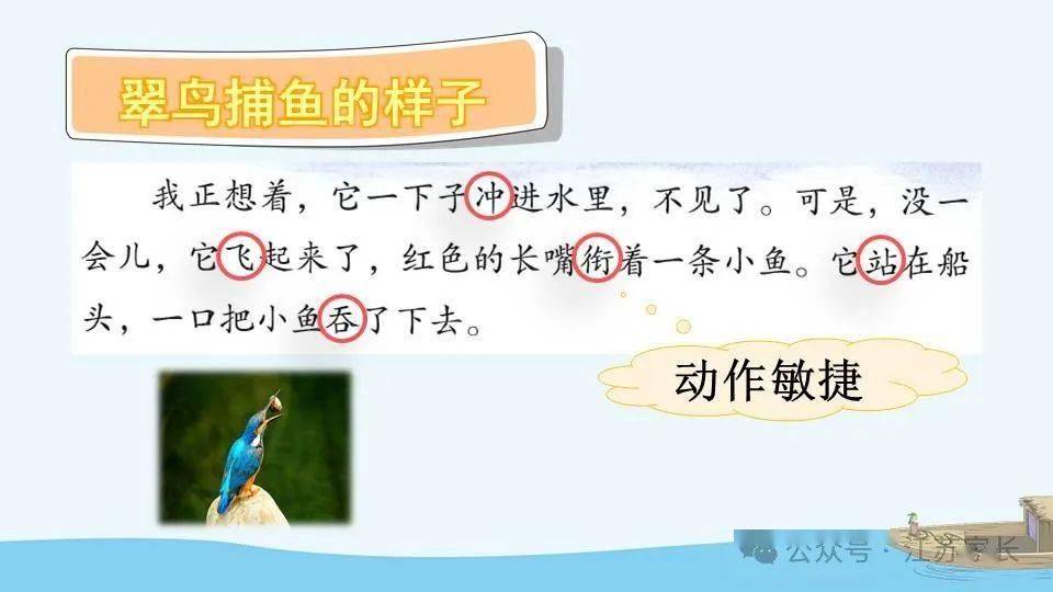 【微课堂】统编版语文三（上）课文 第15课《搭船的鸟》
