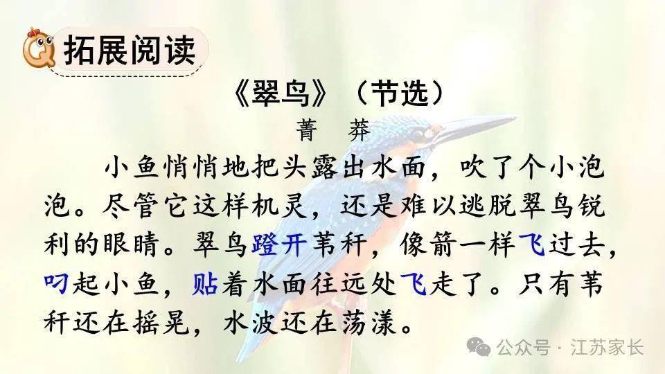 【微课堂】统编版语文三（上）课文 第15课《搭船的鸟》