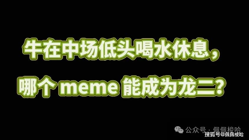 以太坊逆势崛起！ETH山寨季来了？你能在币圈赚到钱吗？牛在中场低头喝水休息，哪个 meme 能成为龙二？