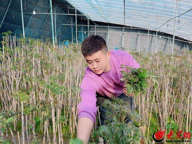 潍坊青州：打好农业“特色牌” 鼓起农户“钱袋子”