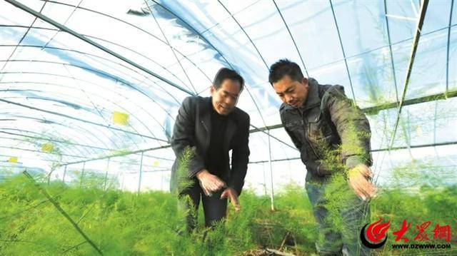 潍坊青州：打好农业“特色牌” 鼓起农户“钱袋子”