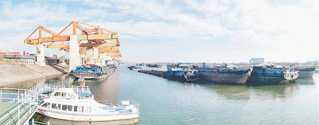 漯河市示范区：冷链产业聚链成势 临港经济破圈出海