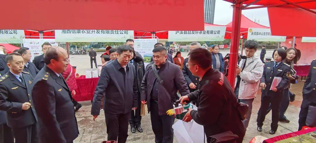 2025湘西州春茶品鉴活动、湘西首届手工炒茶大赛在吉首圆满举办