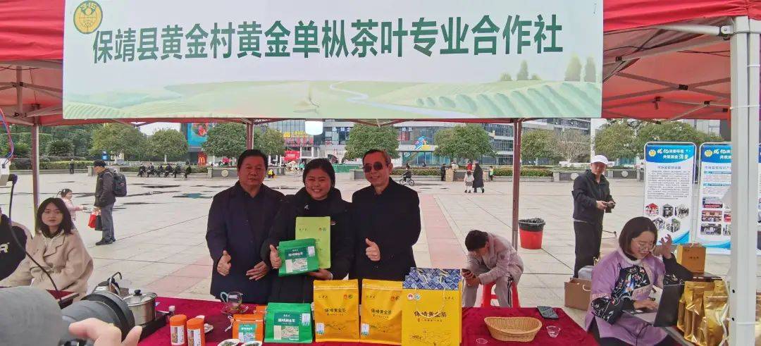 2025湘西州春茶品鉴活动、湘西首届手工炒茶大赛在吉首圆满举办
