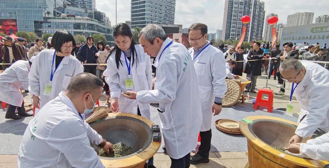 2025湘西州春茶品鉴活动、湘西首届手工炒茶大赛在吉首圆满举办