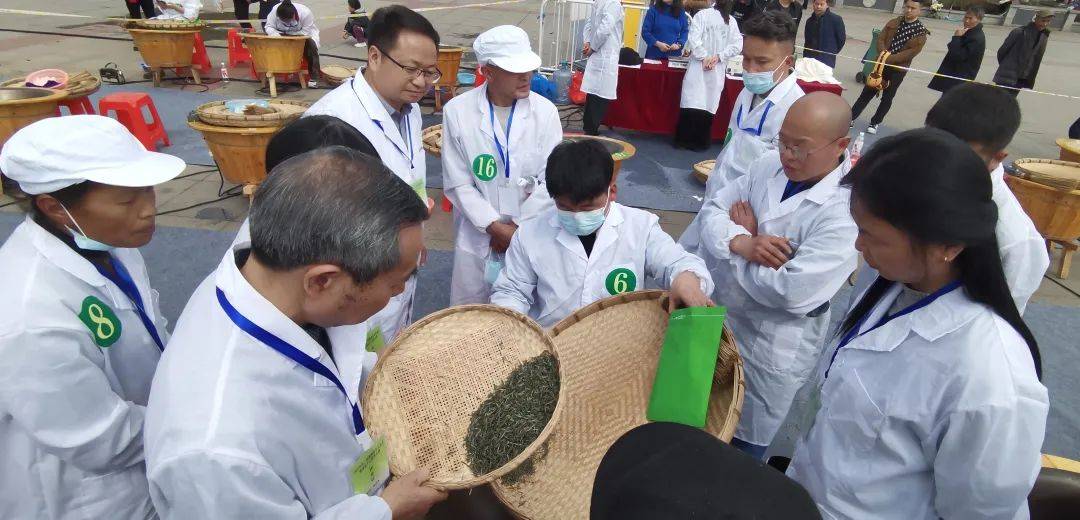 2025湘西州春茶品鉴活动、湘西首届手工炒茶大赛在吉首圆满举办