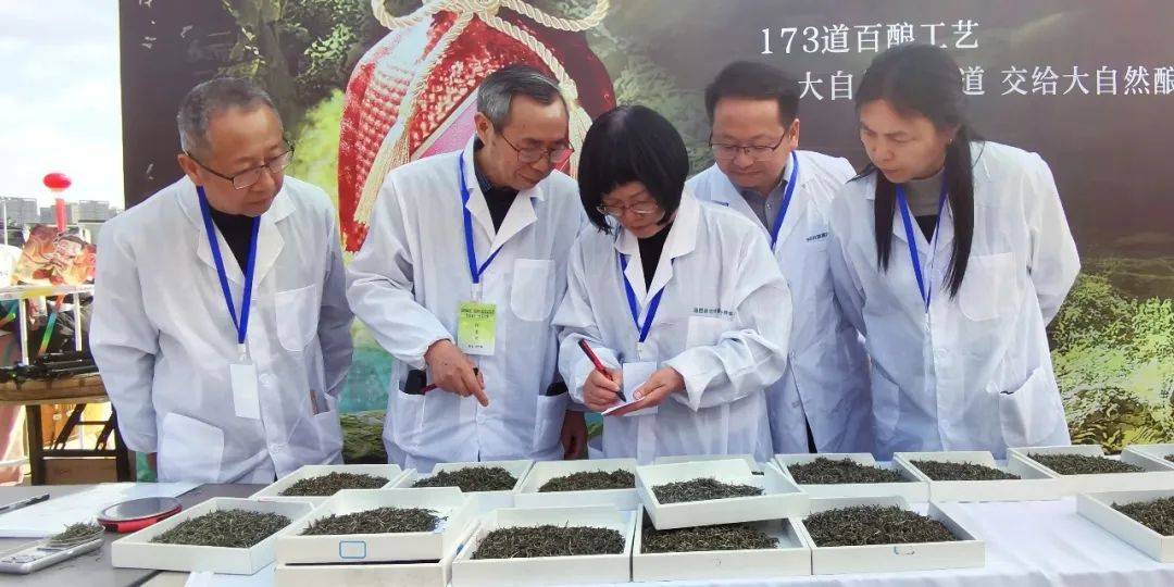 2025湘西州春茶品鉴活动、湘西首届手工炒茶大赛在吉首圆满举办