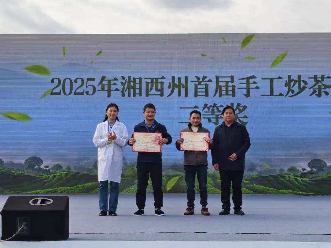 2025湘西州春茶品鉴活动、湘西首届手工炒茶大赛在吉首圆满举办