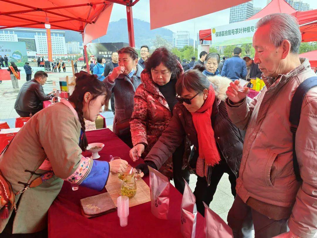 2025湘西州春茶品鉴活动、湘西首届手工炒茶大赛在吉首圆满举办