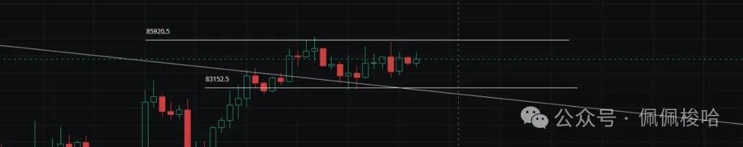黑天鹅降临！比特币崩盘信号！巨鲸为何逆势抄底这个币？百倍行情倒计时？美债爆雷，币圈将会何去何从？