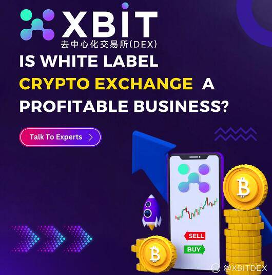 BTC破10万美元催生炒币浪潮 XBIT成为财富安全焦点