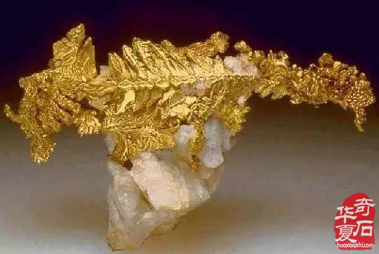 金石贵金属(金石值钱吗?)