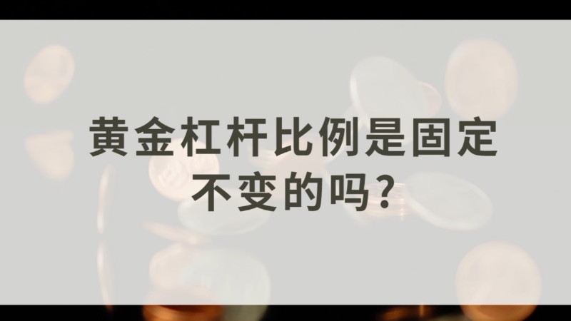 贵金属杠杆比例(贵金属杠杆比例怎么算)