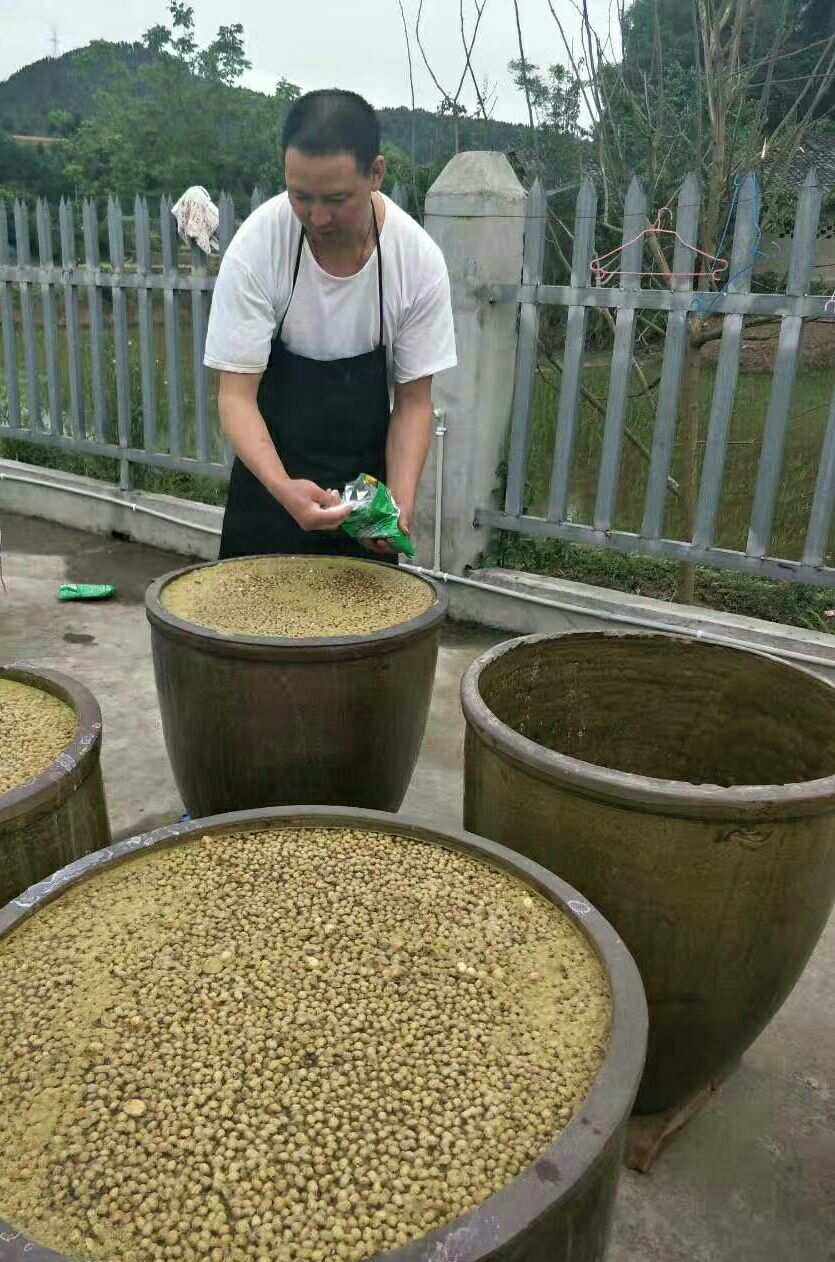 金岑贵金属(金贵银业最新消息今天)