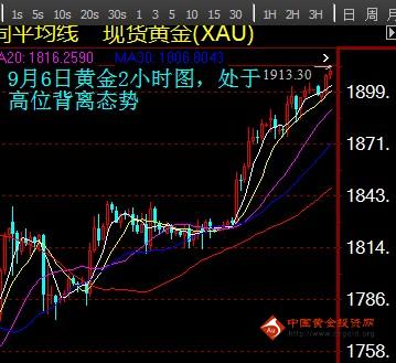 贵金属分析网(贵金属分析网官网)