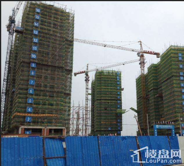 国邦贵金属(国邦金属制造公司怎么样)
