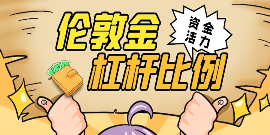 贵金属杠杆比例(贵金属杠杆比例是多少)
