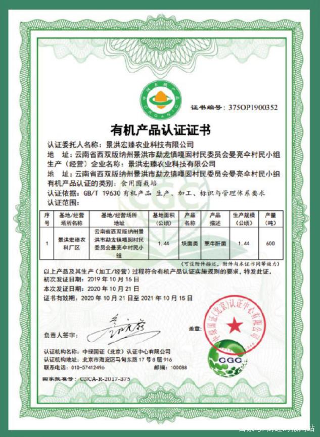 宏臻贵金属(钜丰贵金属官网)